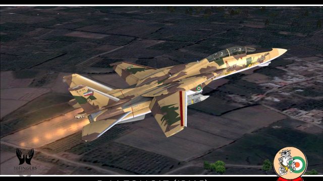 Screenshot 1 — Iran Air Force (IRIAF) F-14AM Tomcat