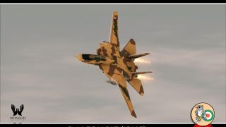 Screenshot 8 — Iran Air Force (IRIAF) F-14AM Tomcat