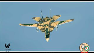 Screenshot 7 — Iran Air Force (IRIAF) F-14AM Tomcat