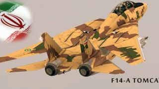 Screenshot 9 — Iran Air Force (IRIAF) F-14AM Tomcat