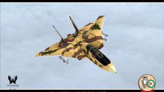 Screenshot 5 — Iran Air Force (IRIAF) F-14AM Tomcat