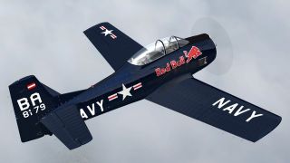 Screenshot 3 — North American T-28B Trojan 'Flying Bulls' OE-ESA