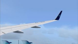 Screenshot 4 — Garuda Indonesia Boeing 737-800 PK-GEQ