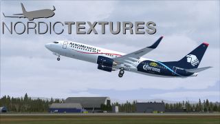 Screenshot 1 — AeroMexico Boeing 737-800NGX