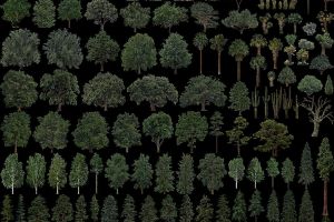 OpenSceneryX for X-Plane