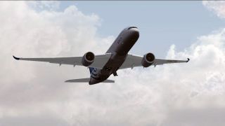 Screenshot 13 — Delta Airlines Skyteam Airbus A350-900