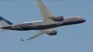 Screenshot 14 — Delta Airlines Skyteam Airbus A350-900