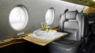 Screenshot 25 — Gulfstream G280 1.0