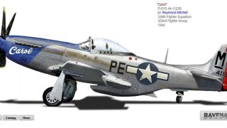 Screenshot 4 — North American P-51D Mustang 1.0.1