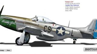 Screenshot 3 — North American P-51D Mustang 1.0.1