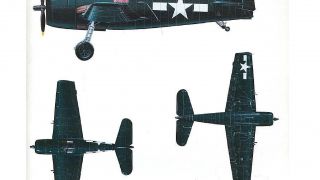 Screenshot 2 — Grumman Hellcat/Shed/Hangar Package Animated