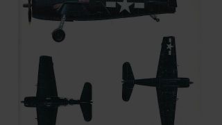 Screenshot 5 — Grumman Hellcat/Shed/Hangar Package Animated