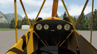 Screenshot 37 — Piper J-3 Cub