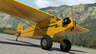 Screenshot 34 — Piper J-3 Cub