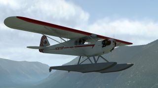 Screenshot 40 — Piper J-3 Cub