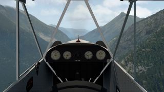 Screenshot 38 — Piper J-3 Cub