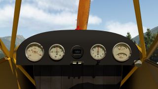 Screenshot 39 — Piper J-3 Cub