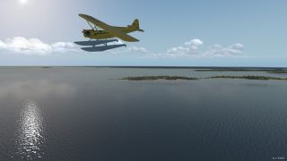 Screenshot 25 — Piper J-3 Cub
