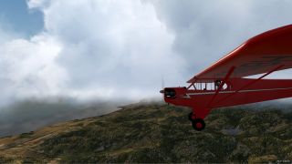 Screenshot 21 — Piper J-3 Cub