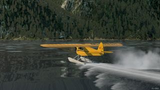 Screenshot 9 — Piper J-3 Cub