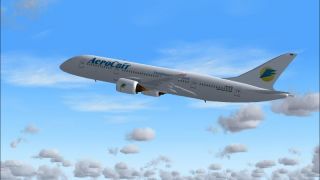 Screenshot 39 — Boeing 787 Mega Pack