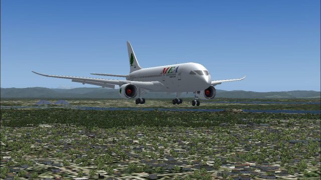 Screenshot 1 — Boeing 787 Mega Pack