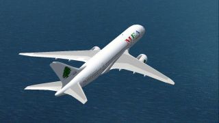 Screenshot 3 — Boeing 787 Mega Pack