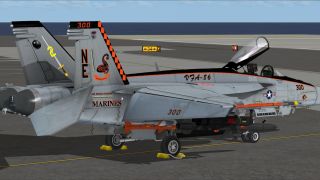 Screenshot 38 — VRS F/A-18E Superbug Mega Repaint Pack