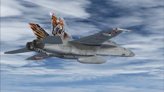 Screenshot 44 — VRS F/A-18E Superbug Mega Repaint Pack