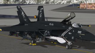 Screenshot 30 — VRS F/A-18E Superbug Mega Repaint Pack
