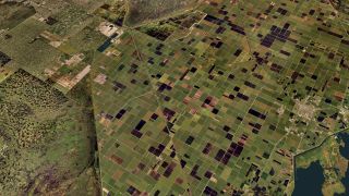 Screenshot 11 — Florida Complete Photoreal Scenery