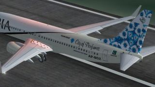 Screenshot 60 — PIA Default 737-800 Repaint Pack
