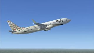 Screenshot 50 — PIA Default 737-800 Repaint Pack