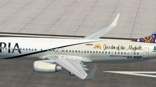 Screenshot 43 — PIA Default 737-800 Repaint Pack