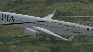 Screenshot 54 — PIA Default 737-800 Repaint Pack