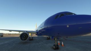 Screenshot 29 — Southwest Airlines A320neo Livery