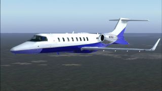 Screenshot 29 — Default Learjet 45 Repaint Pack by Jeff Smith