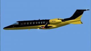 Screenshot 31 — Default Learjet 45 Repaint Pack by Jeff Smith