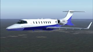 Screenshot 28 — Default Learjet 45 Repaint Pack by Jeff Smith