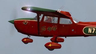 Screenshot 41 — A2A Cessna 172 Trainer Livery Pack