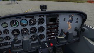 Screenshot 11 — A2A Cessna 172 Trainer Livery Pack