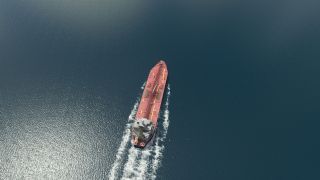 Screenshot 9 — AI Ships, Boats &amp; Global Traffic