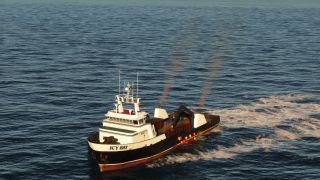 Screenshot 49 — AI Ships, Boats &amp; Global Traffic