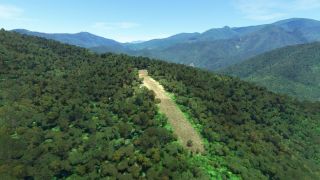 Screenshot 3 — Highland Papua Bush Strip Collection, Indonesia