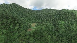 Screenshot 2 — Bawan Airstrip (BWJ), Papua New Guinea Scenery