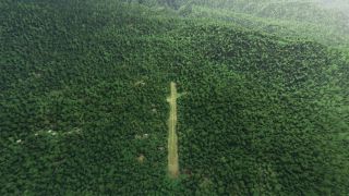Screenshot 2 — Lele Airstrip (AYLE) Papua New Guinea Scenery