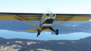 Screenshot 3 — Asobo Aviat Husky A-1C "Razer" Livery Pack