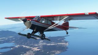 Screenshot 4 — Asobo Aviat Husky A-1C Aeroart Livery Pack