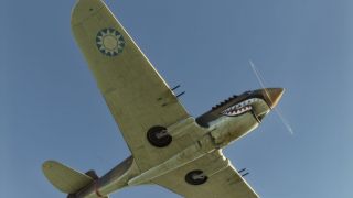 Screenshot 10 — Curtiss P-40 Tomahawk