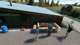 Screenshot 6 — Aérodrome de Sabonnères (LF3126) Scenery